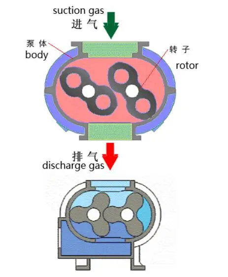 Schematic diagram of the working principle of Roots blower.webp