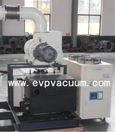 Roots Rotary Vane Vacuum System.webp